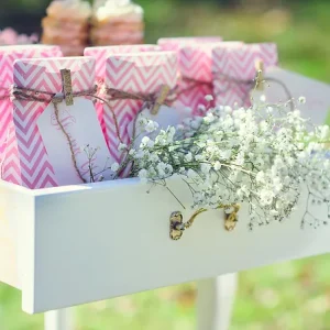 Baby Shower Date (30 Min)